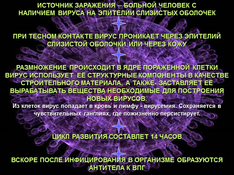 ИСТОЧНИК ЗАРАЖЕНИЯ – БОЛЬНОЙ ЧЕЛОВЕК С  НАЛИЧИЕМ ВИРУСА НА ЭПИТЕЛИИ СЛИЗИСТЫХ ОБОЛОЧЕК 